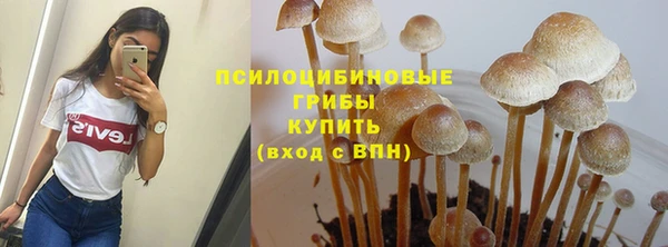 таблы Михайловск
