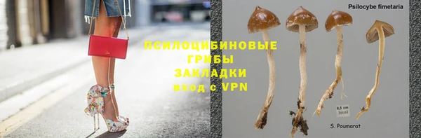 таблы Михайловск