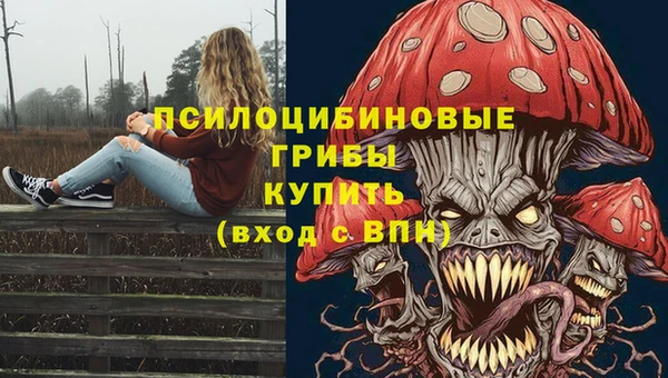 таблы Михайловск