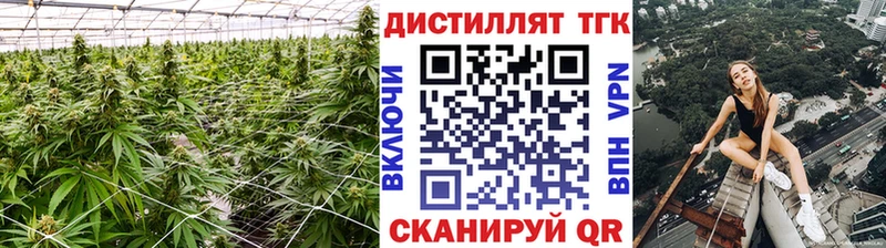 хочу   Дмитриев  мега ТОР  ТГК Wax 