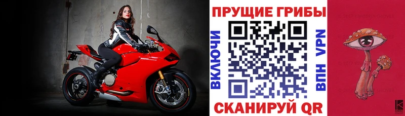 Галлюциногенные грибы прущие грибы  blacksprut зеркало  Дмитриев 